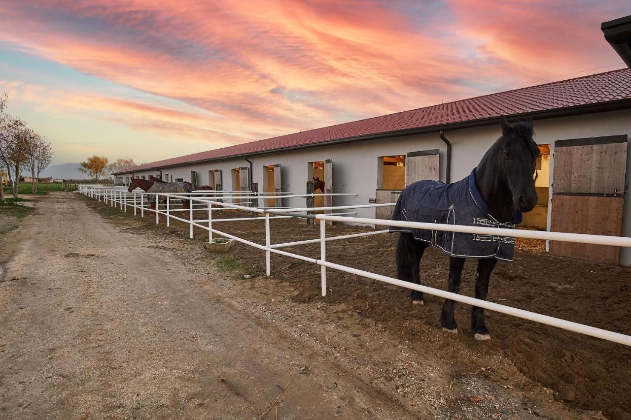 Brussa Horse Oasi Villa Caorle Exterior photo